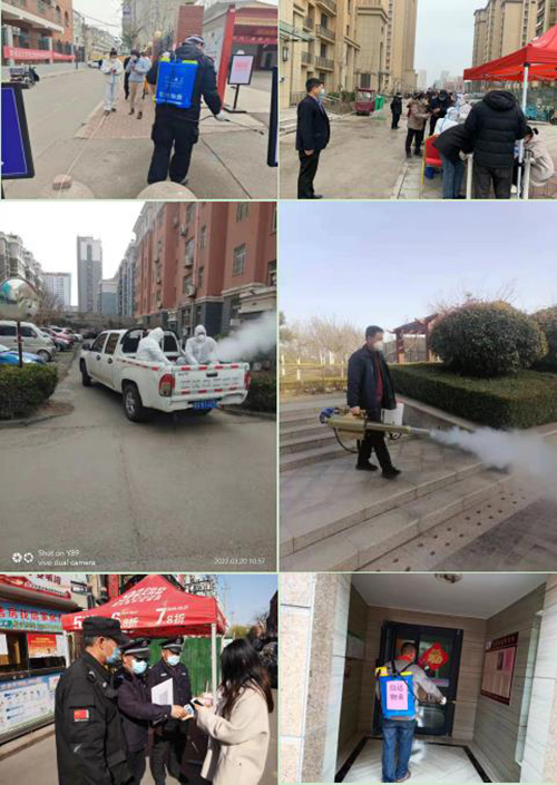 1648782405925865.jpg 3.jpg